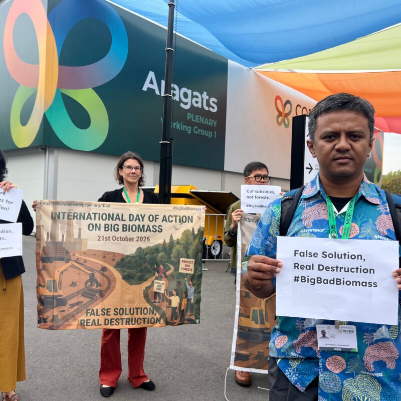 Aksi masyarakat sipil memperingati gerakan Big Bad Biomass di Yerevan, Armenia pada 21 Oktober 2026. (Dokumentasi JustCOP)